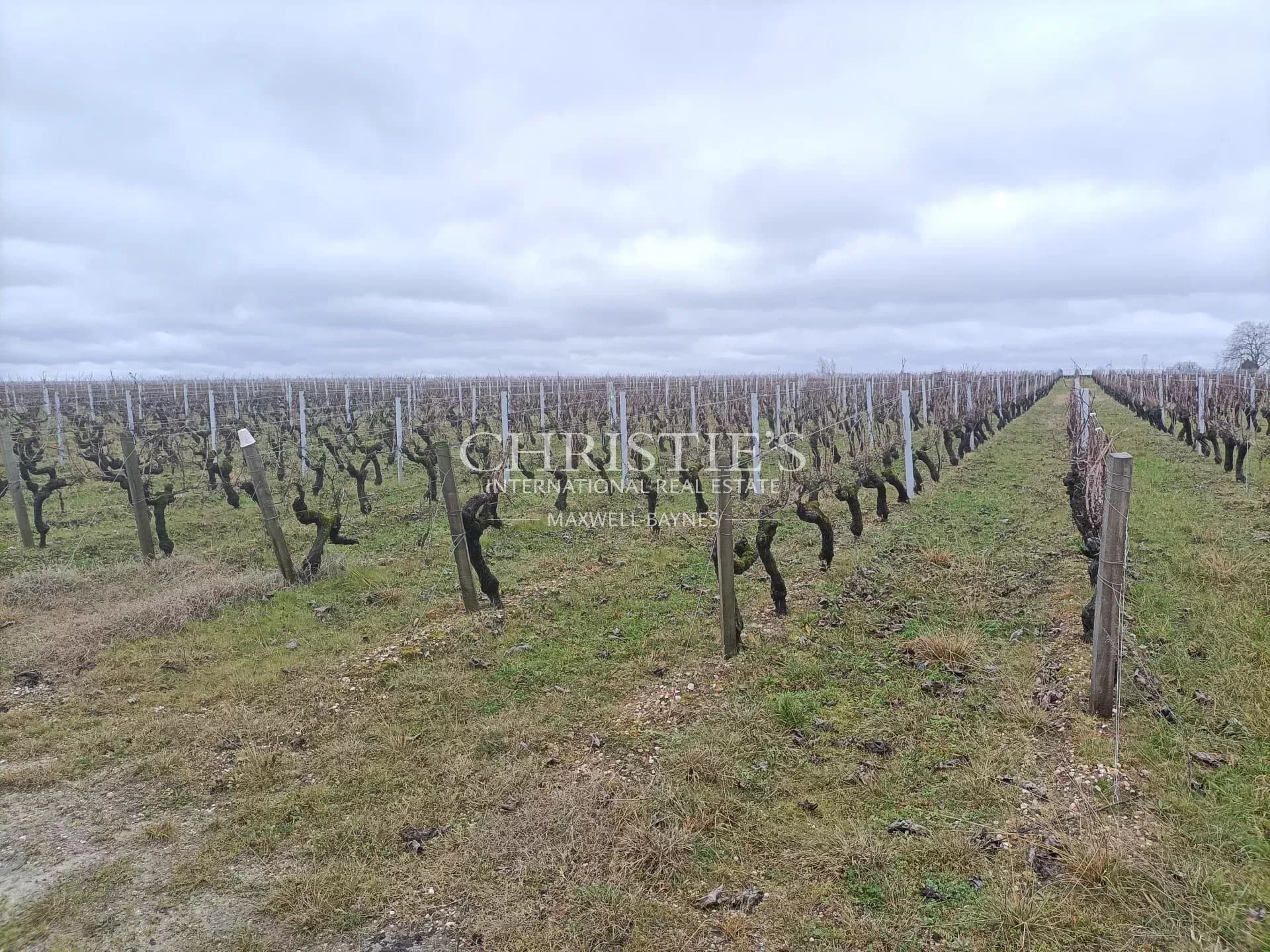 A vendre  26,7820 ha d'un seul tenant - AOC Haut Médoc