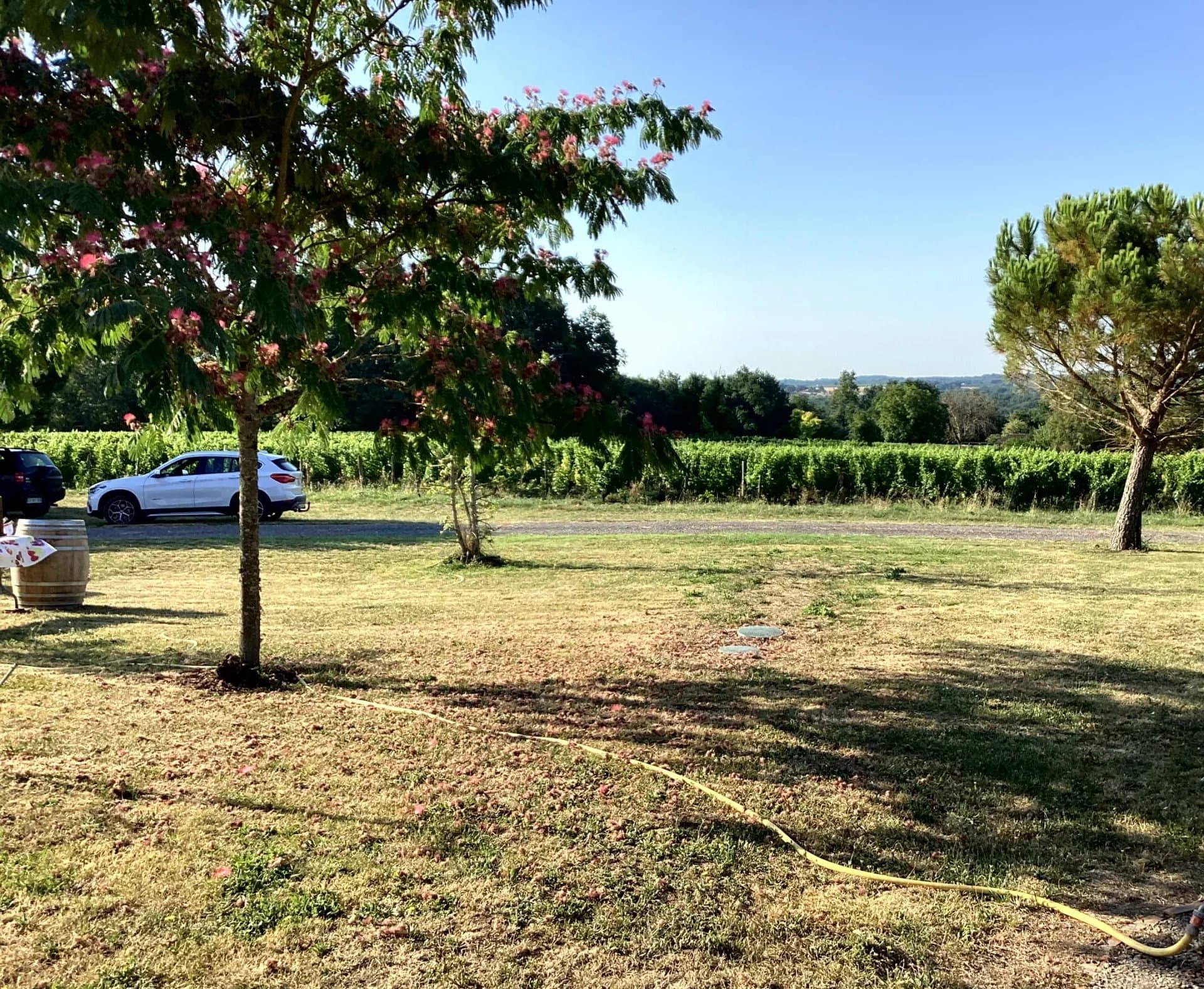 For sale at Monbazillac,  nice organic vineyard estate of 7ha97
