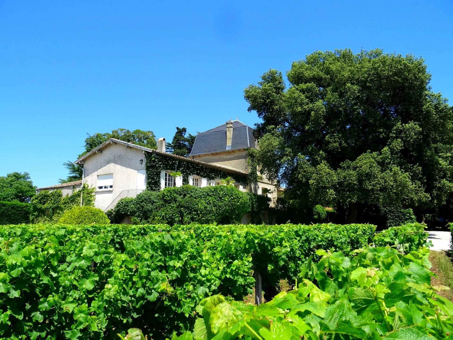 Propriété viticole de charme - AOC Sauternes et Graves Rouge et Blanc