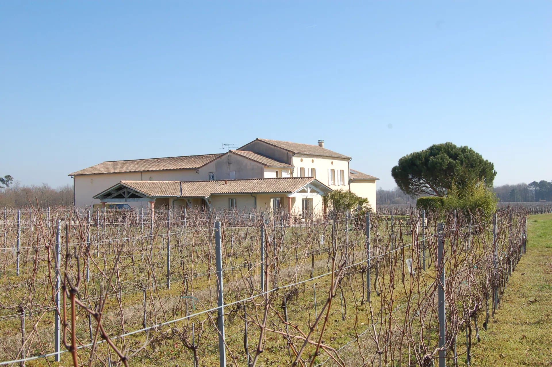 Domaine clé en main en AOC Côtes de Bourg / Blaye