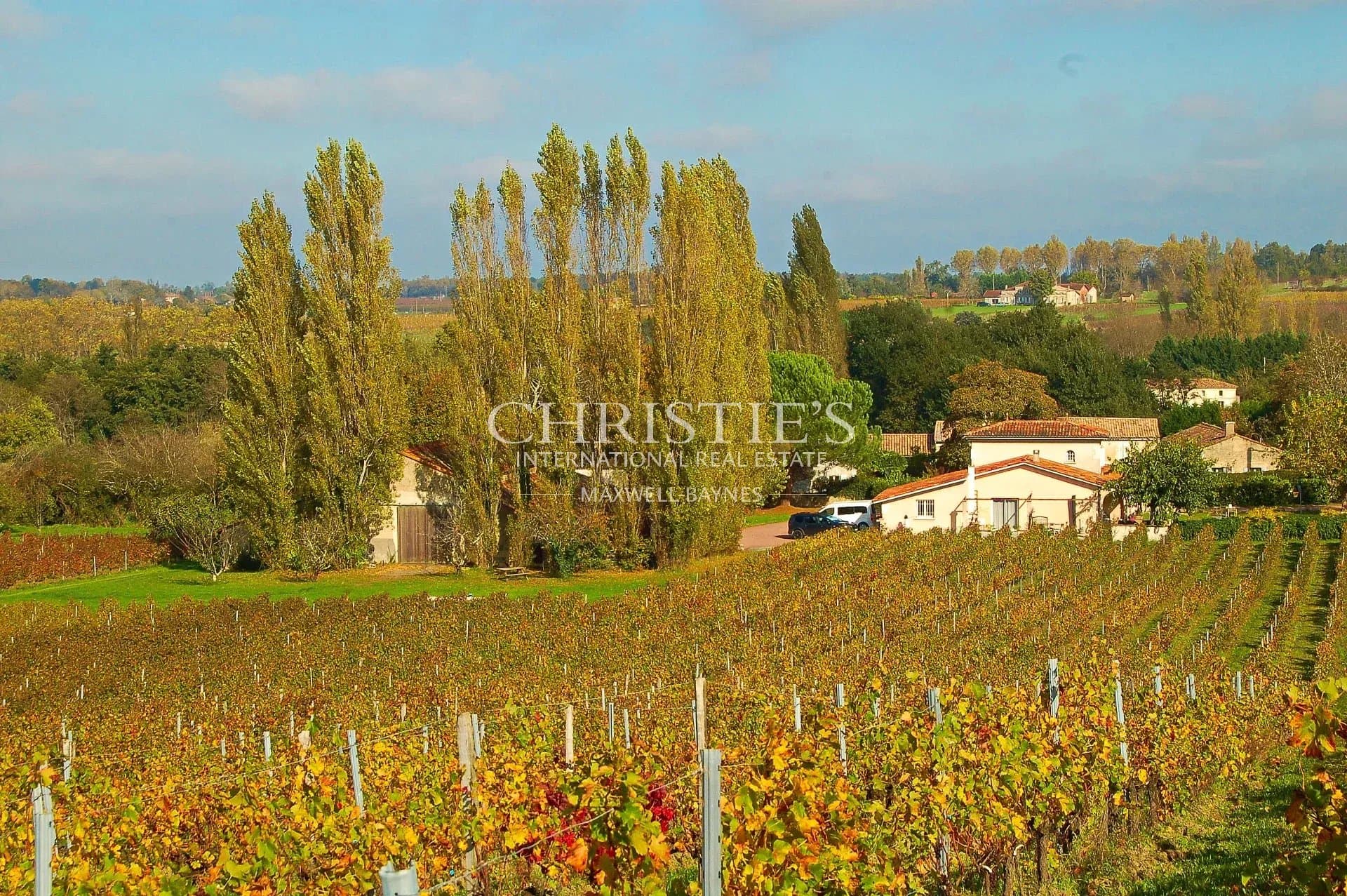 Turnkey 9-hectare vineyard estate