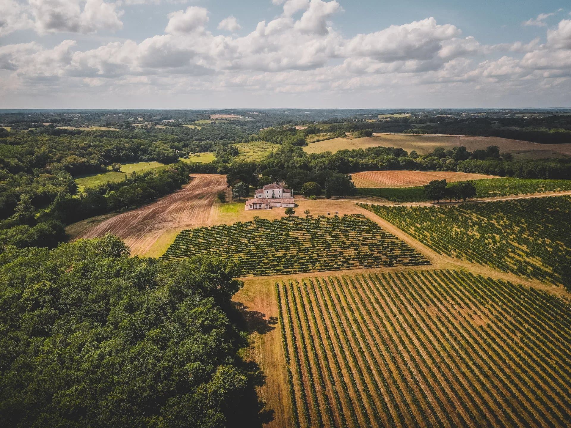 Beautiful estate for sale on 74 ha of vineyards, woods and parkland less than an hour from Bordeaux