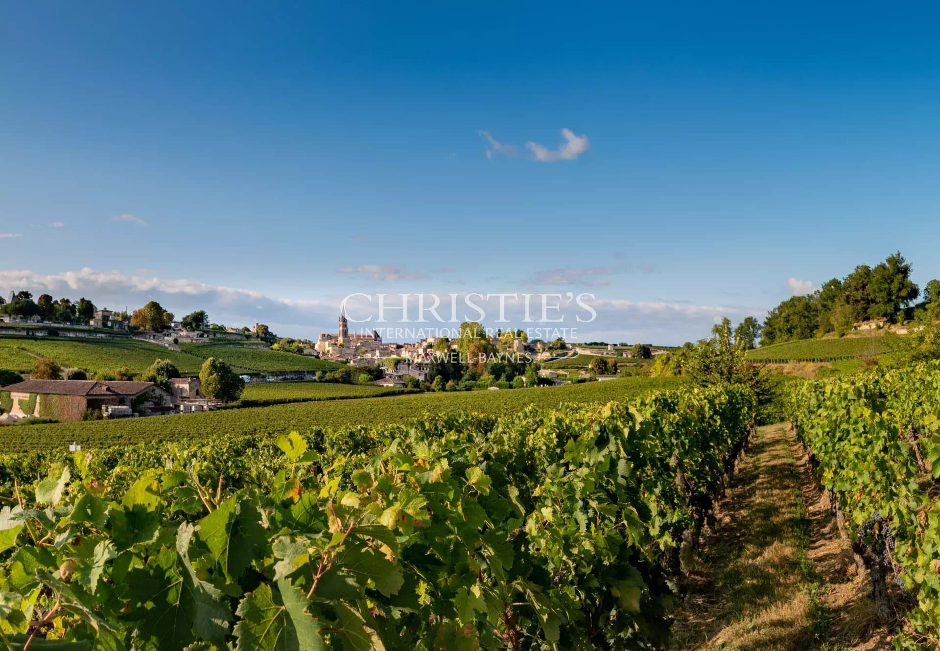 Investissement viticole clé en main - parcelles de vignes en AOC Saint-Emilion Grand Cru
