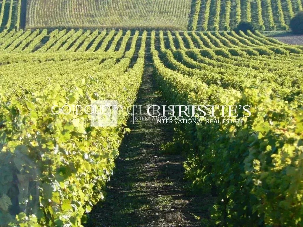 For Sale Cognac - Outstanding property
