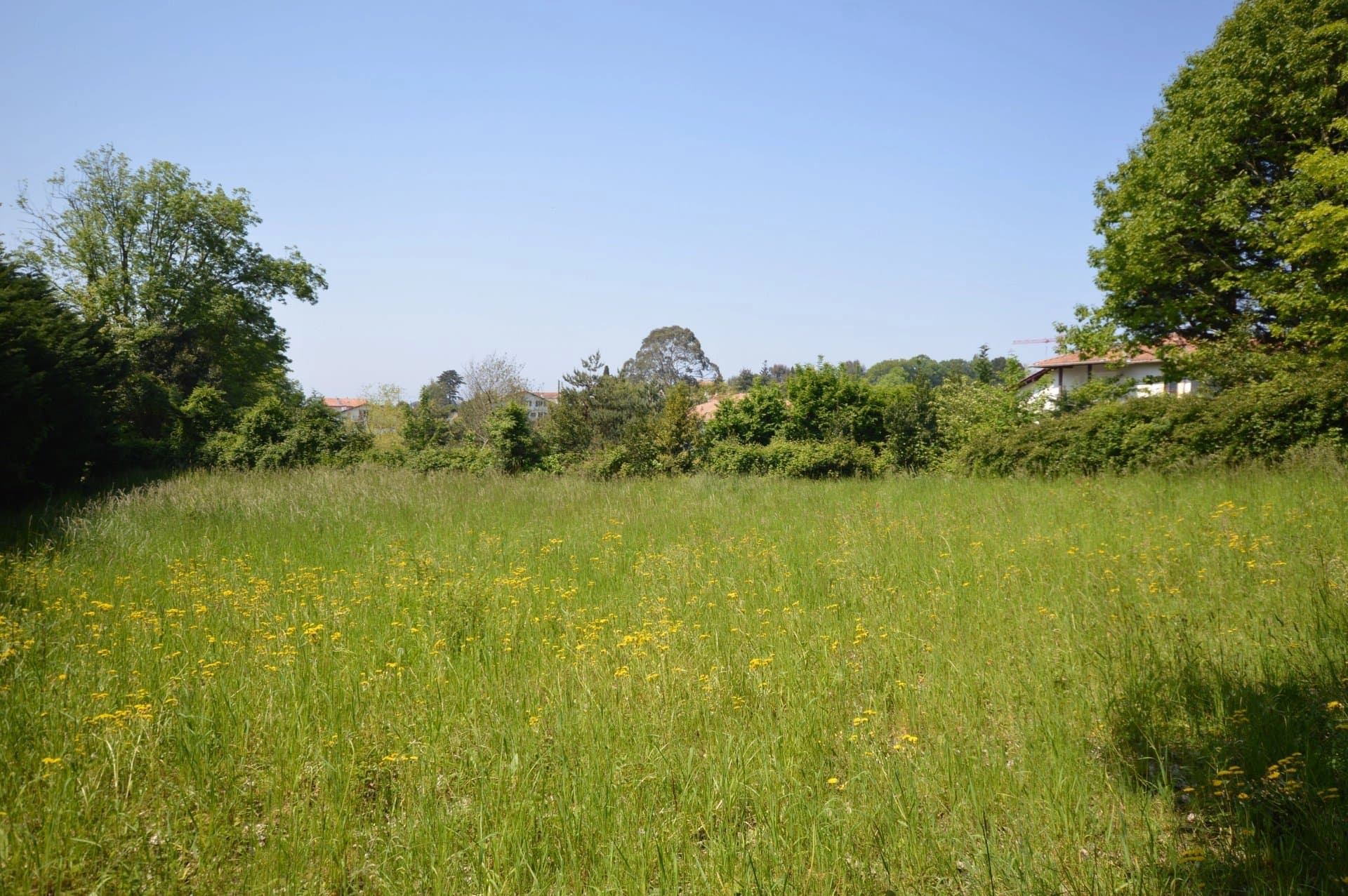 A VENDRE TERRAIN DE 650 M² A SAINT JEAN DE LUZ