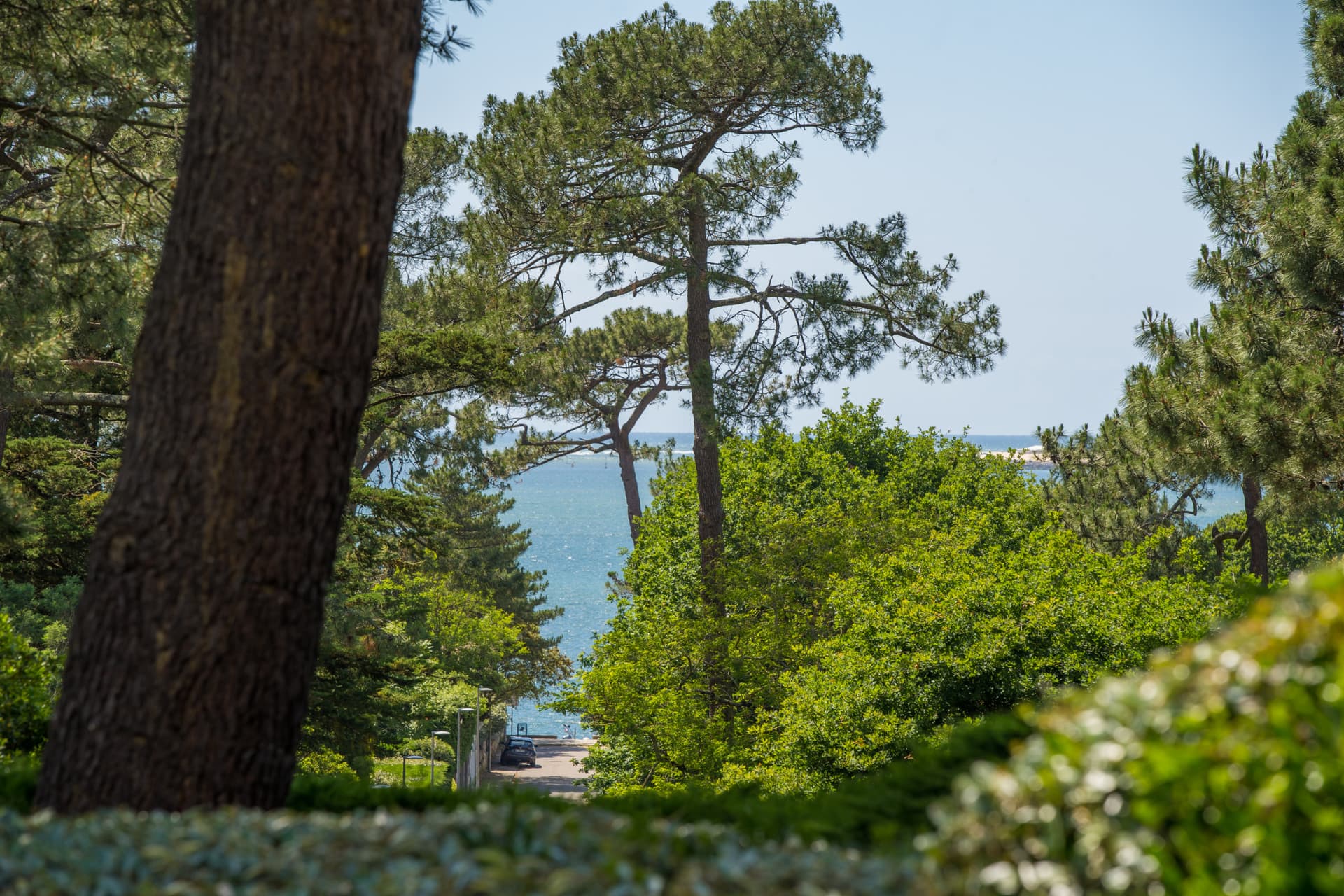 Villa Abela