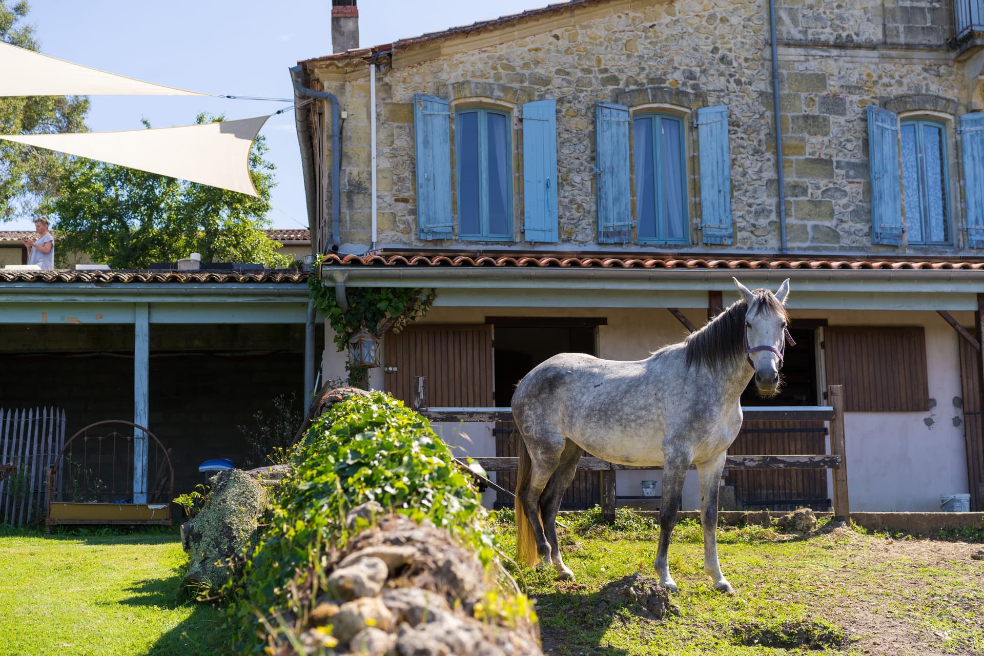 Château du Tasta