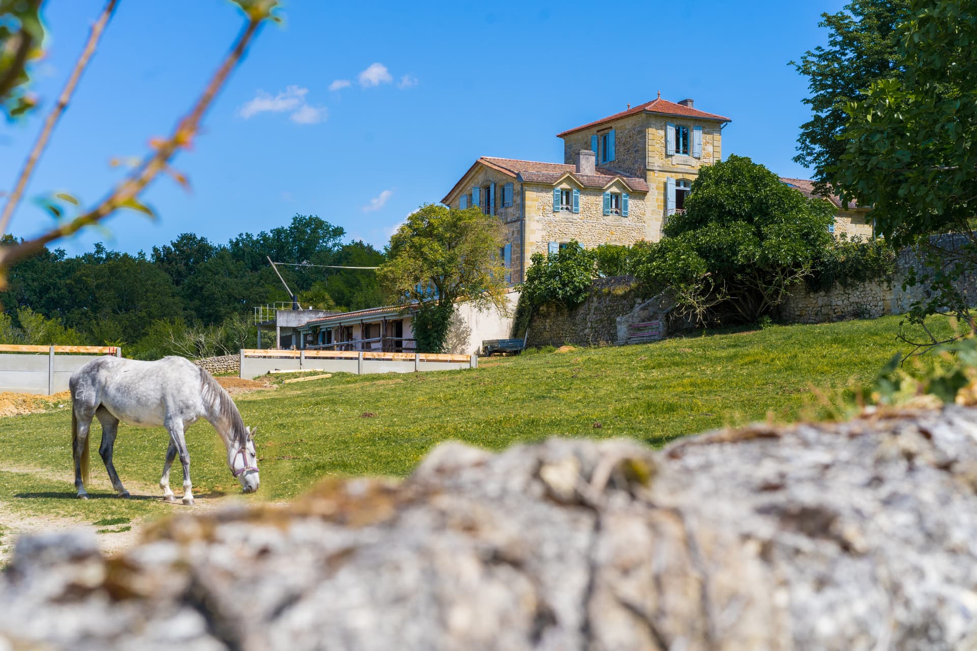 Château du Tasta