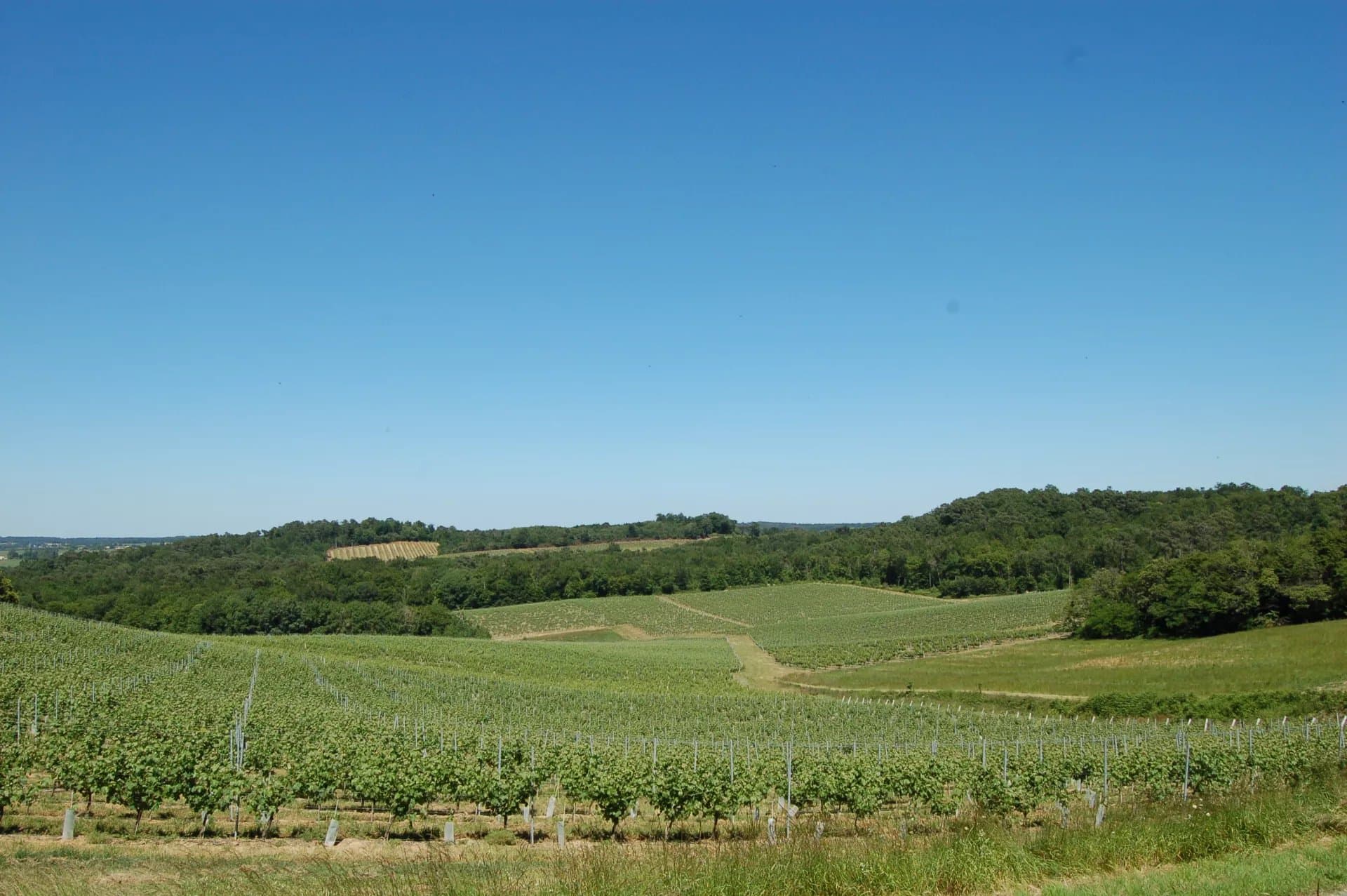 Excellent terroir - 27 ha of AOC Bordeaux vines
