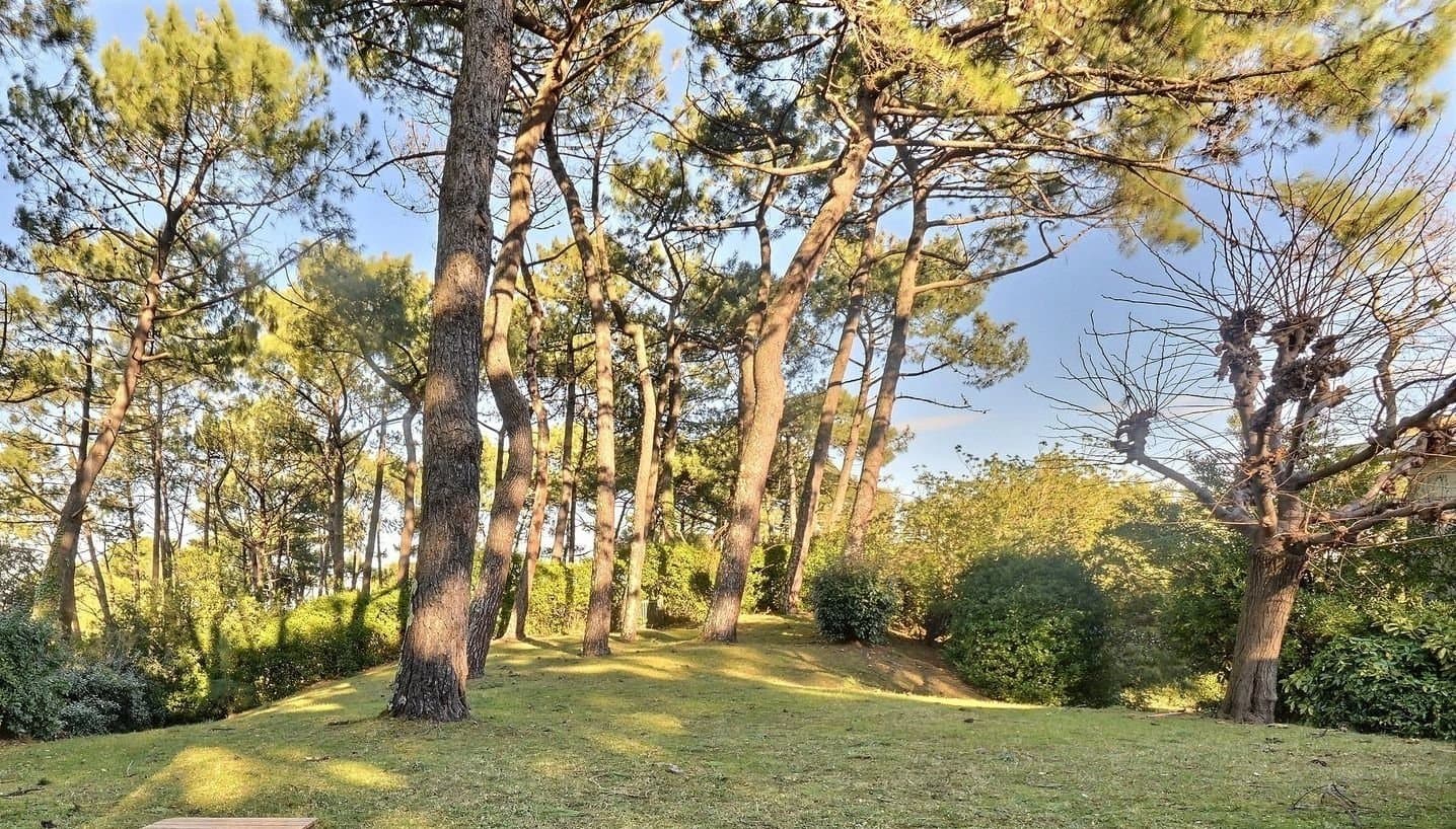 A VENDRE TERRAIN 610 M² ANGLET CHIBERTA