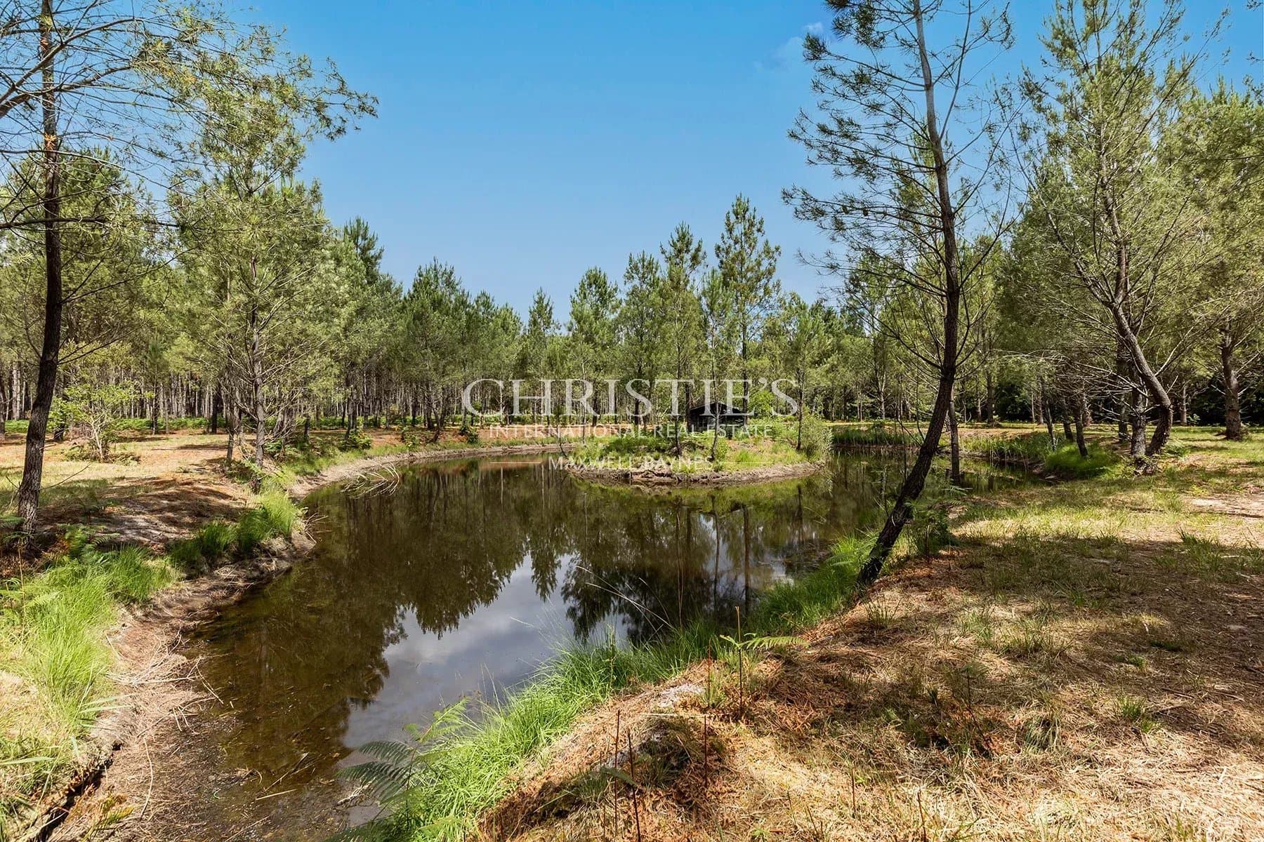 Property in the Heart of the Landes – 6 Hectares – Pool – Pond