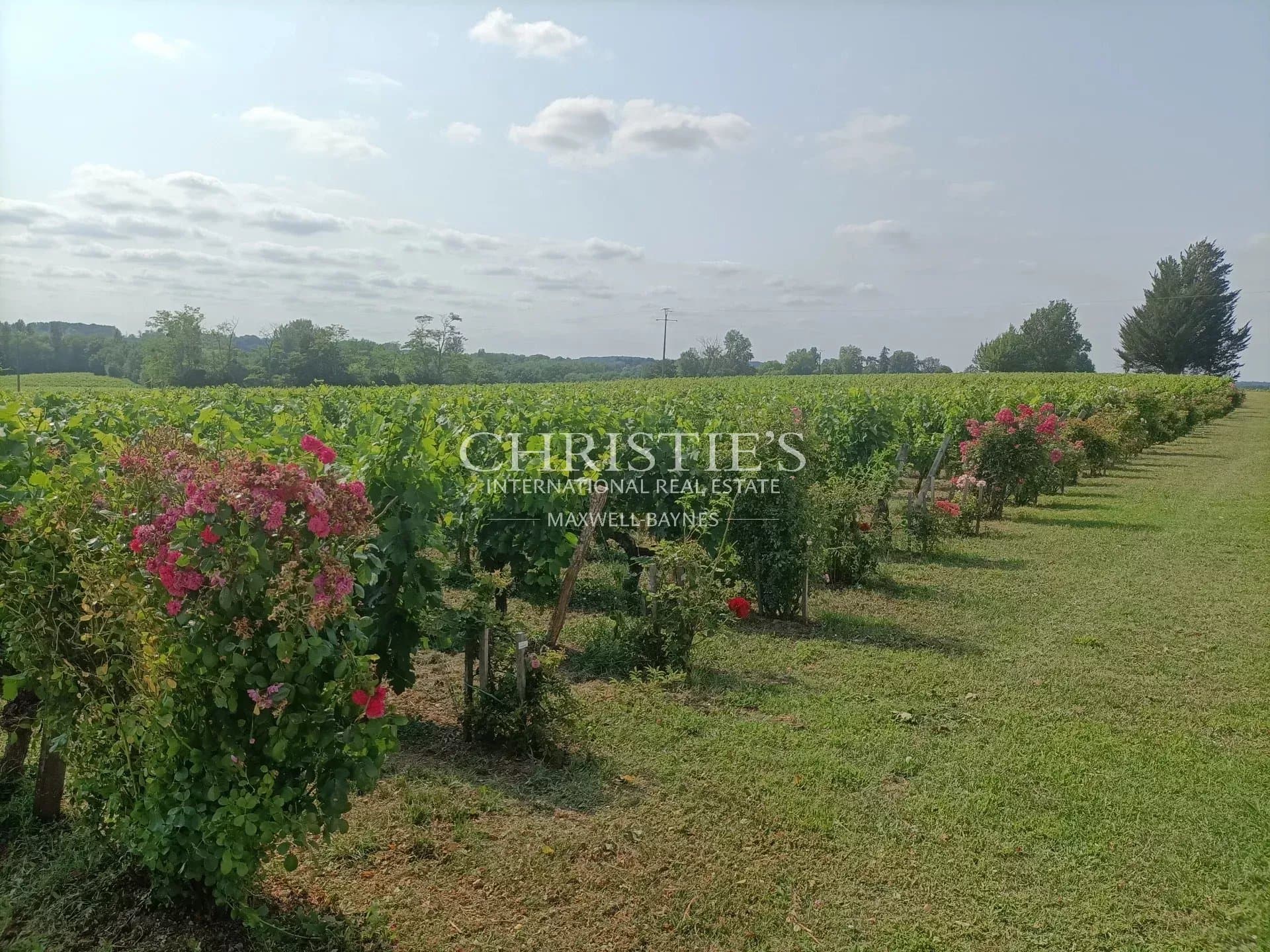 For sale charming 8 ha vineyard estate near Saint-Emilion