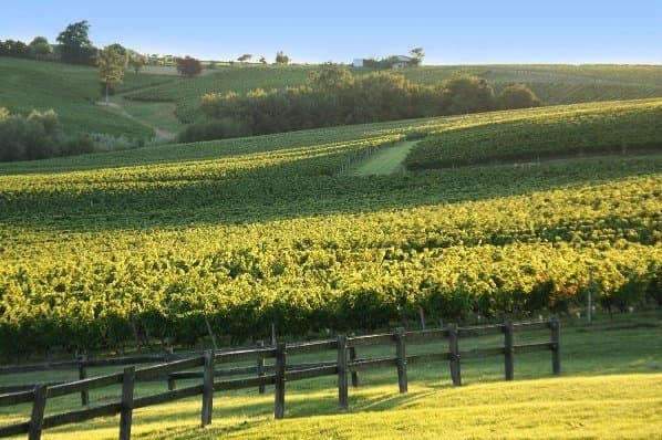 AOC Côtes de Bourg Vineyard estate of approx. 33ha