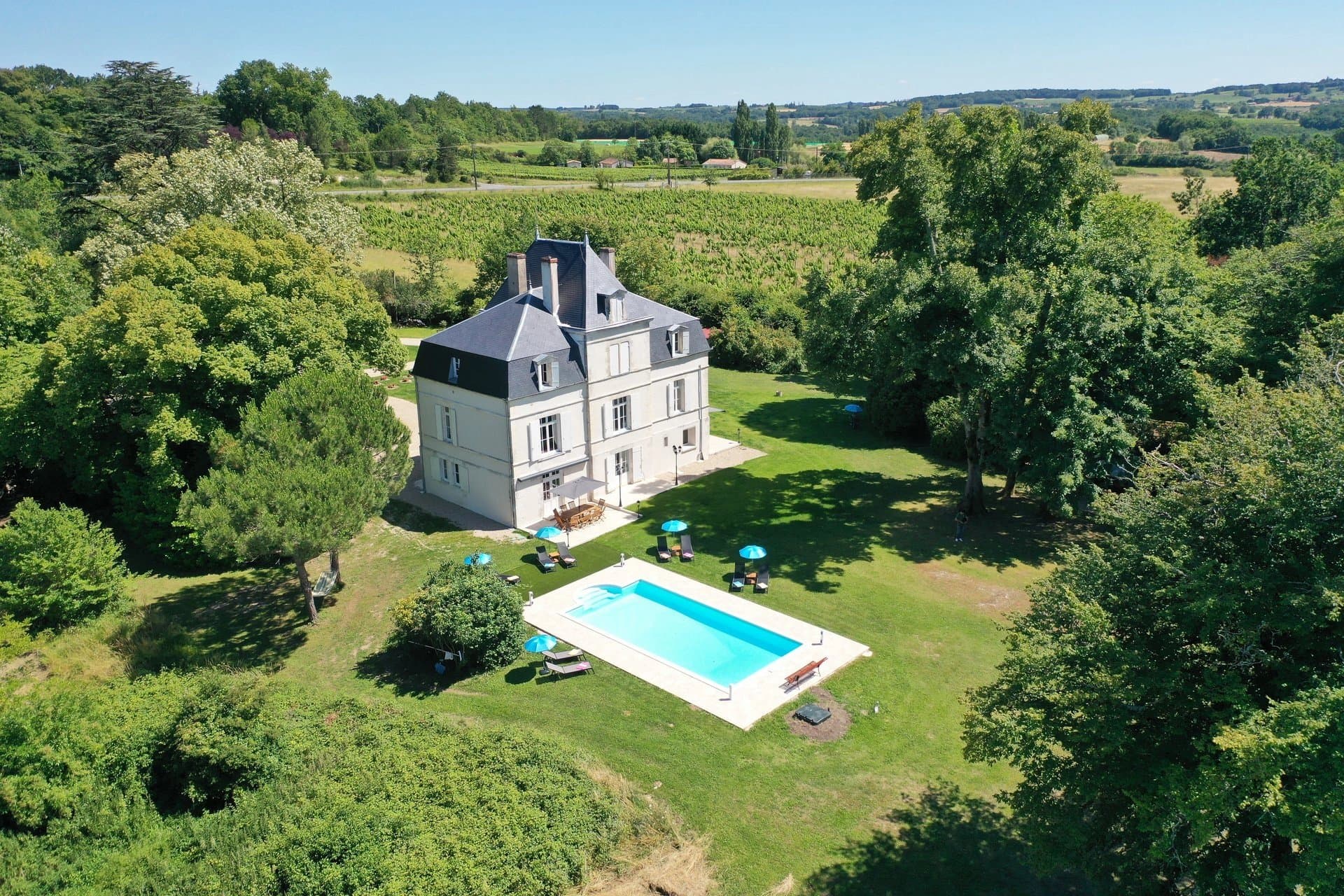 Charming luxury Chateau set in Vines near Bergerac
