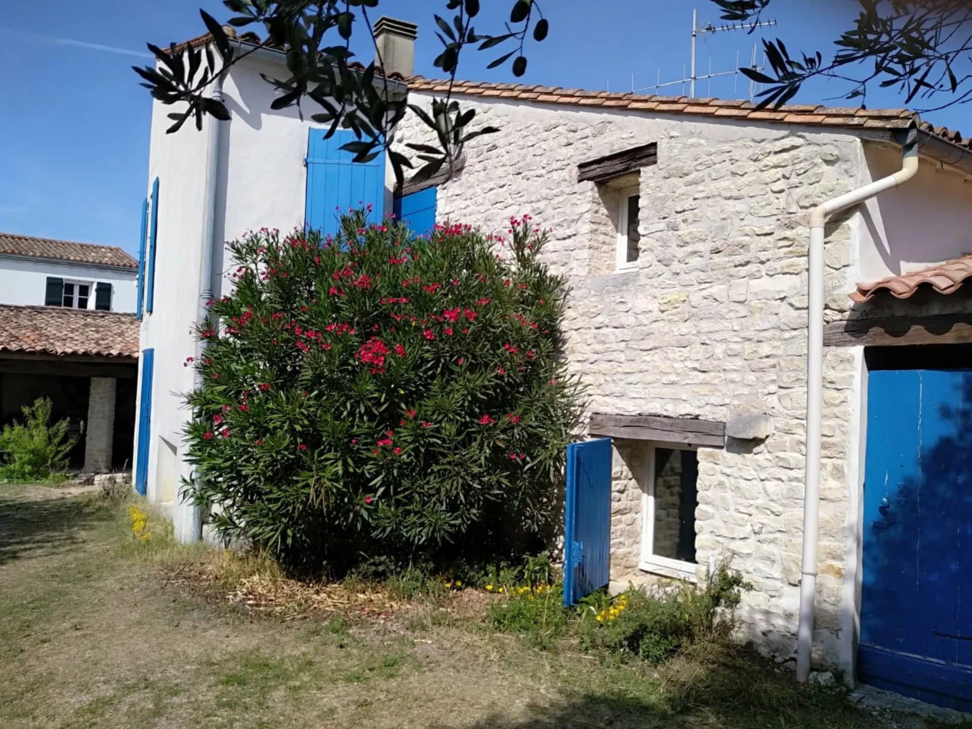 Exceptional location at Bois-Plage-en-Ré