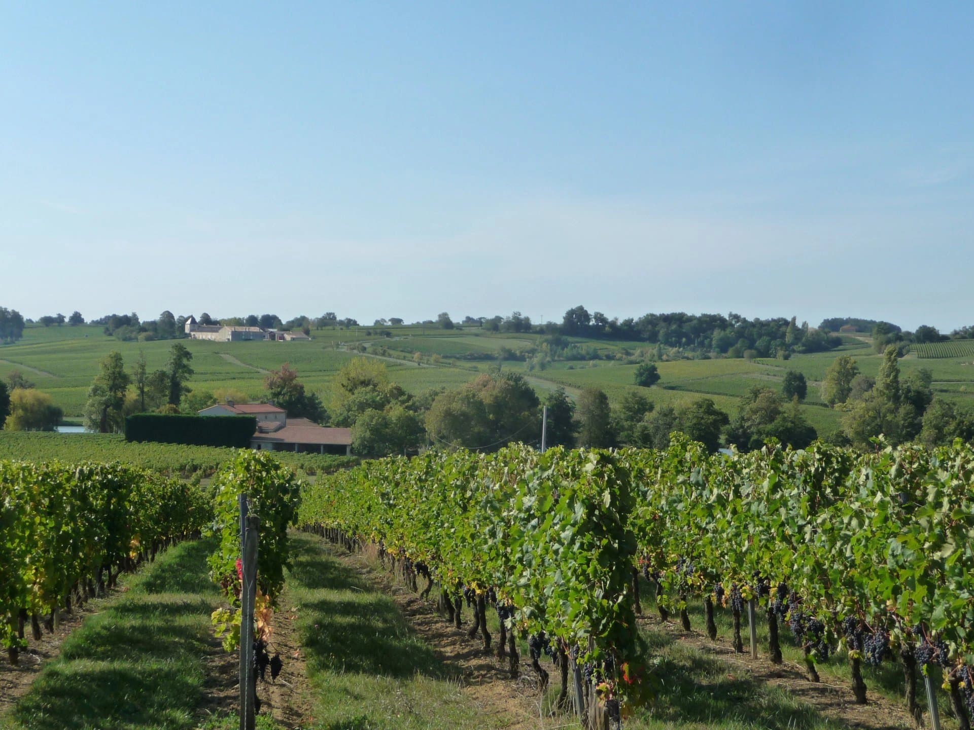 Attractive turnkey AOC Montagne Saint-Emilion vineyard estate with Mansion
