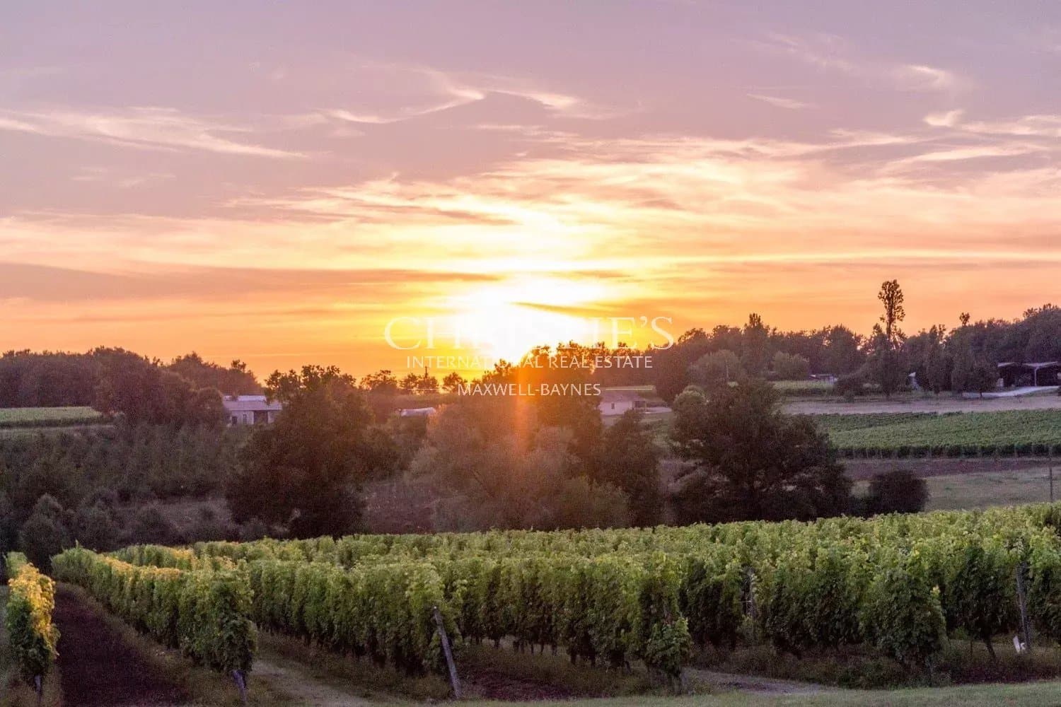 Magnificent vineyard estate - AOC Côtes de Duras