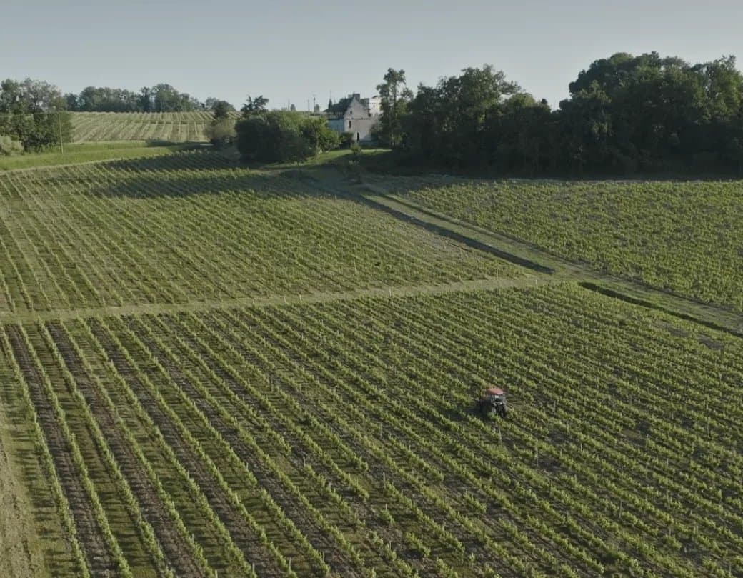 For sale a very charming renovated property near Bergerac