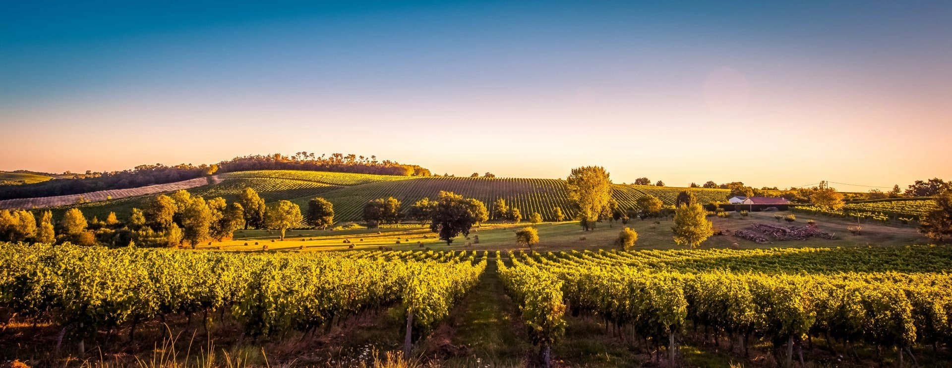 AOC Bordeaux Vignoble à vendre - maison à rénover, Libourne