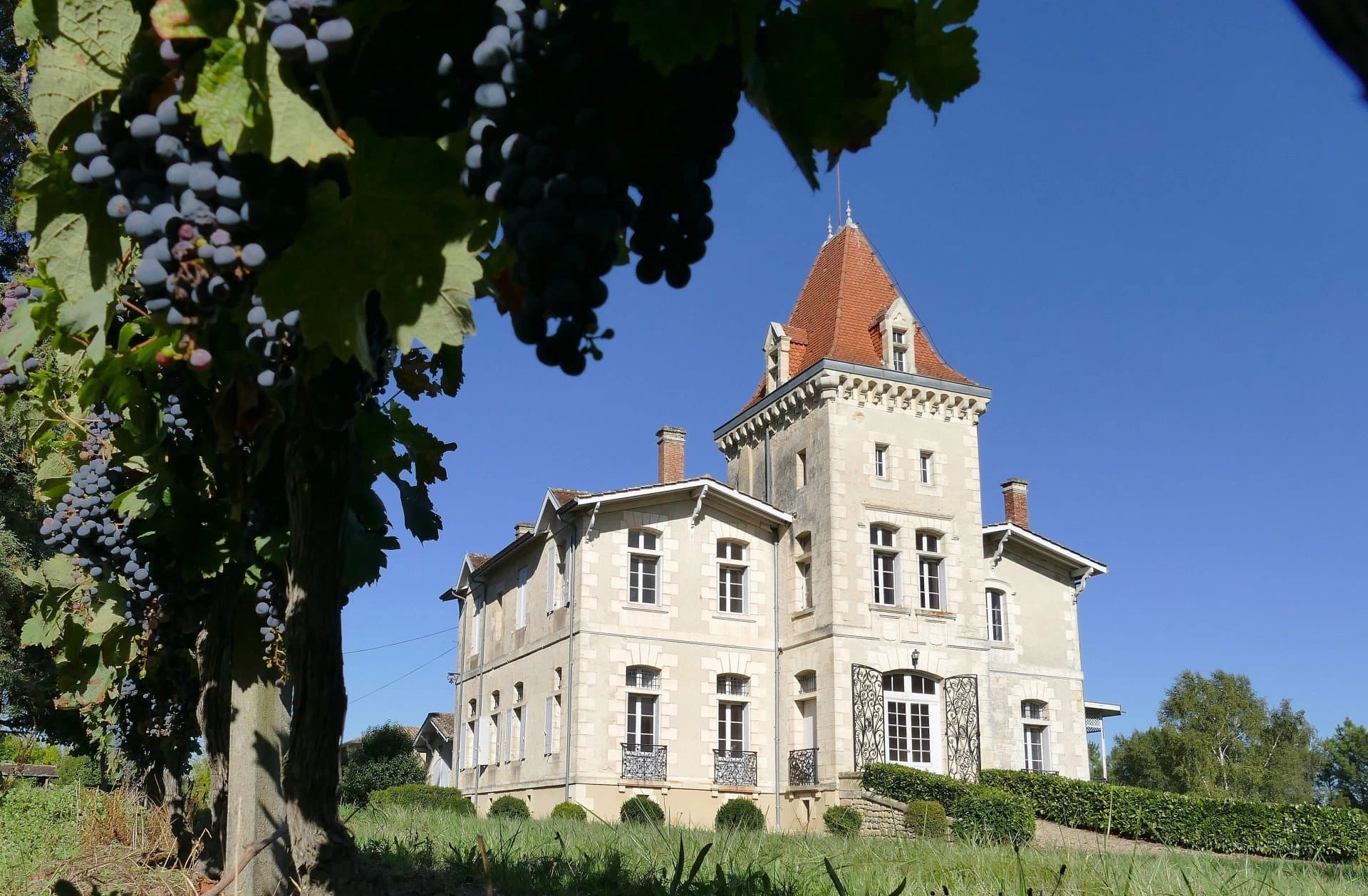 19th century chateau and its small hobby vineyard, Sauternes