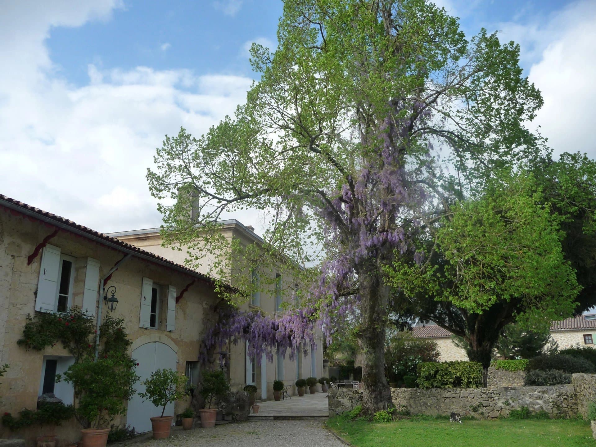 Large Girondine family house set in a walled garden