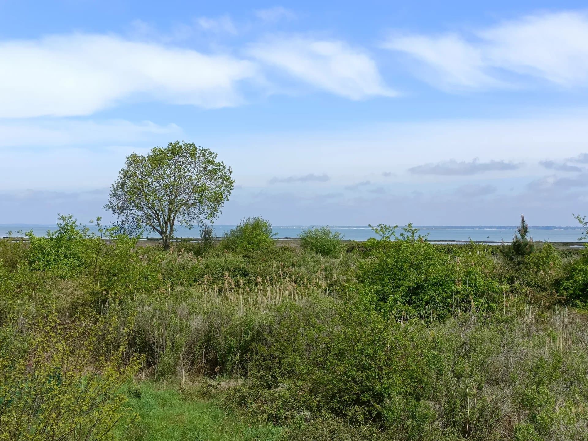 Bassin d'Arcachon - Beautiful house with sea view
