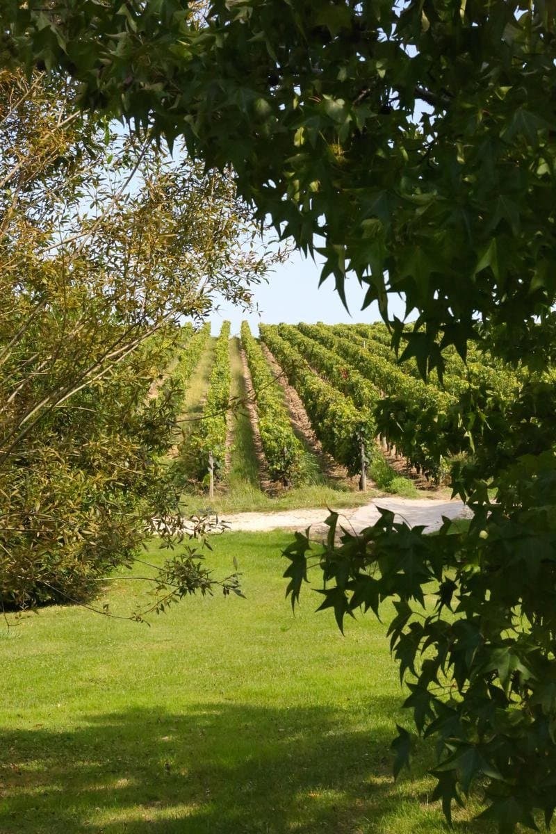 Domaine viticole prestigieux près de Saint-Emilion