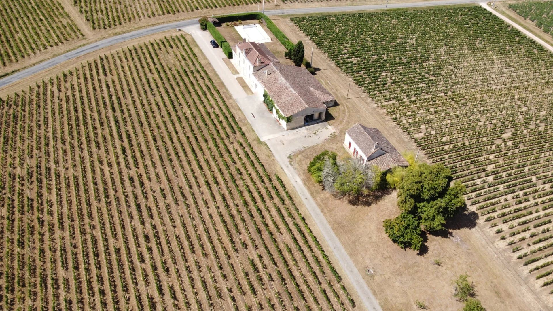 Belle propriété viticole en AOC Castillon - Côtes de Bordeaux