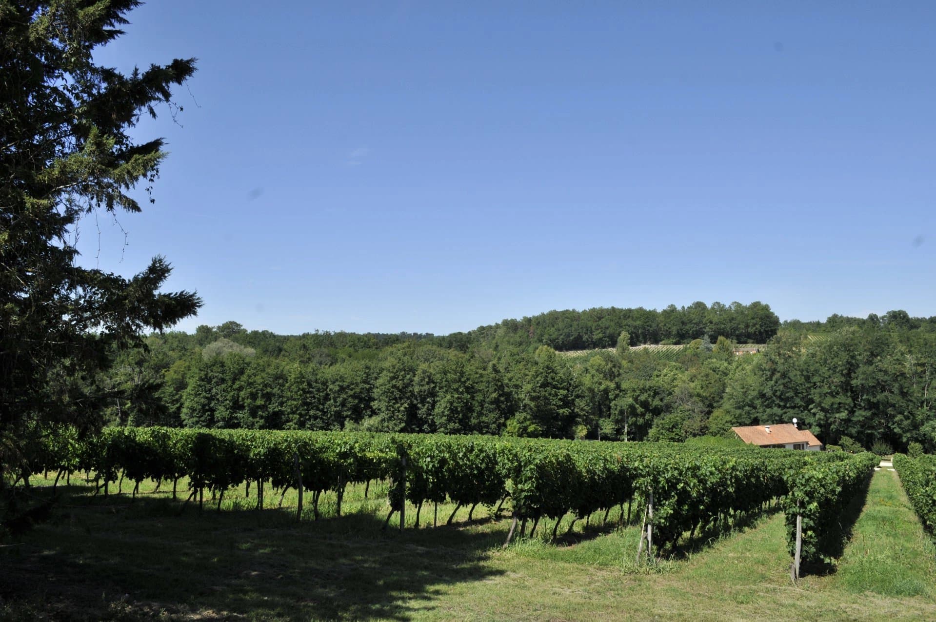 Propriété Viticole AOC Medoc