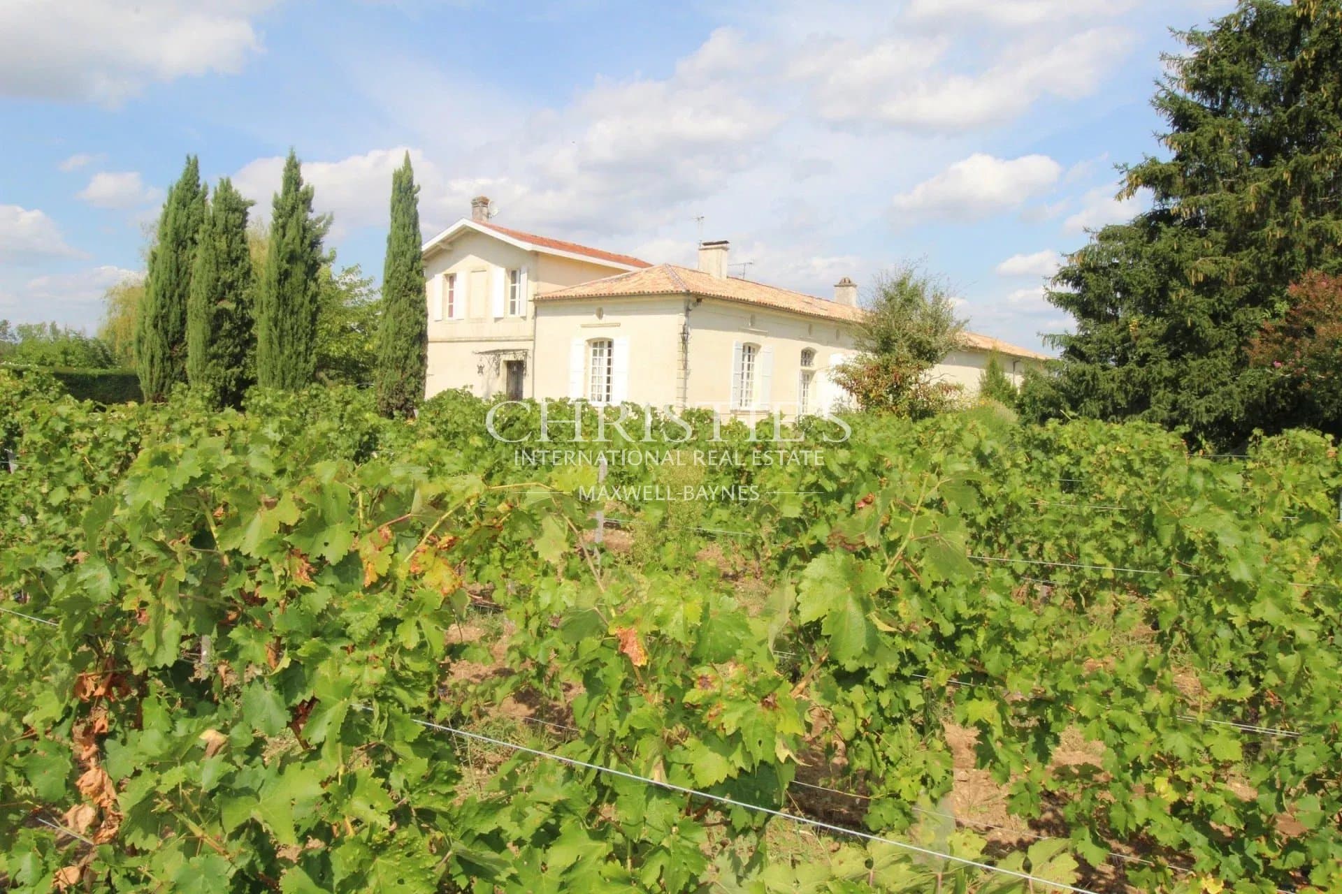 Hobby Vineyard estate for sale - AOC Graves