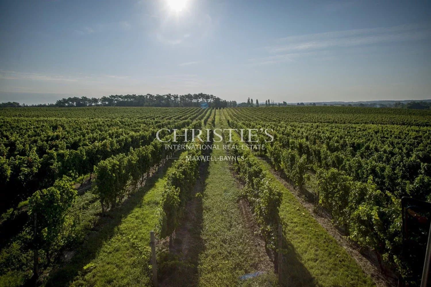 Magnifique domaine viticole à vendre clé en main avec stock de vin - Côtes de Duras