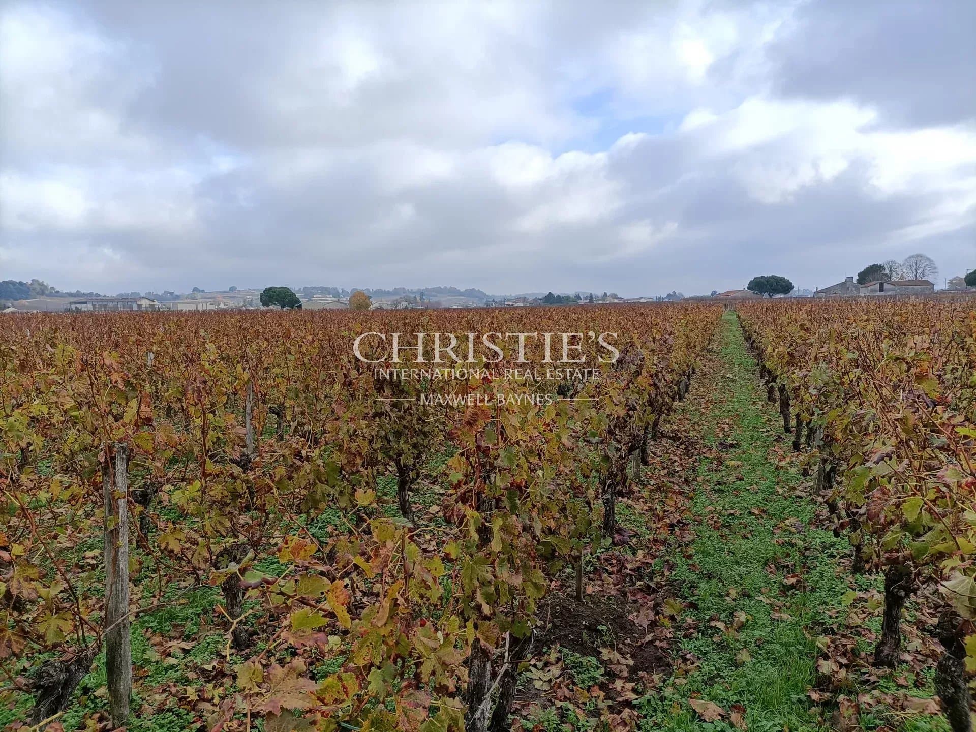 Belle propriété viticole - AOC Saint-Emilion