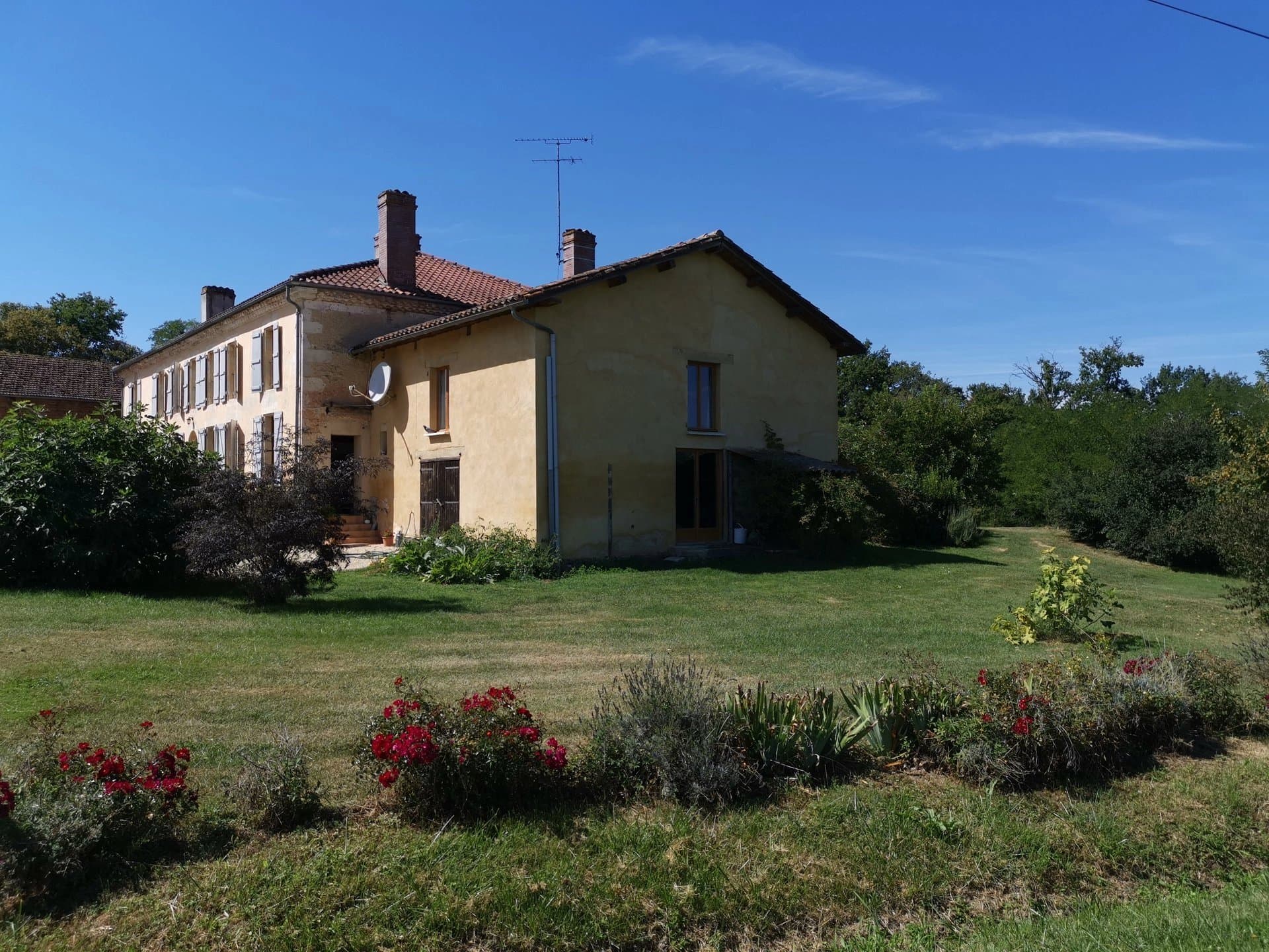 Small commercial vineyard 5 mins from Eauze in the Gers!