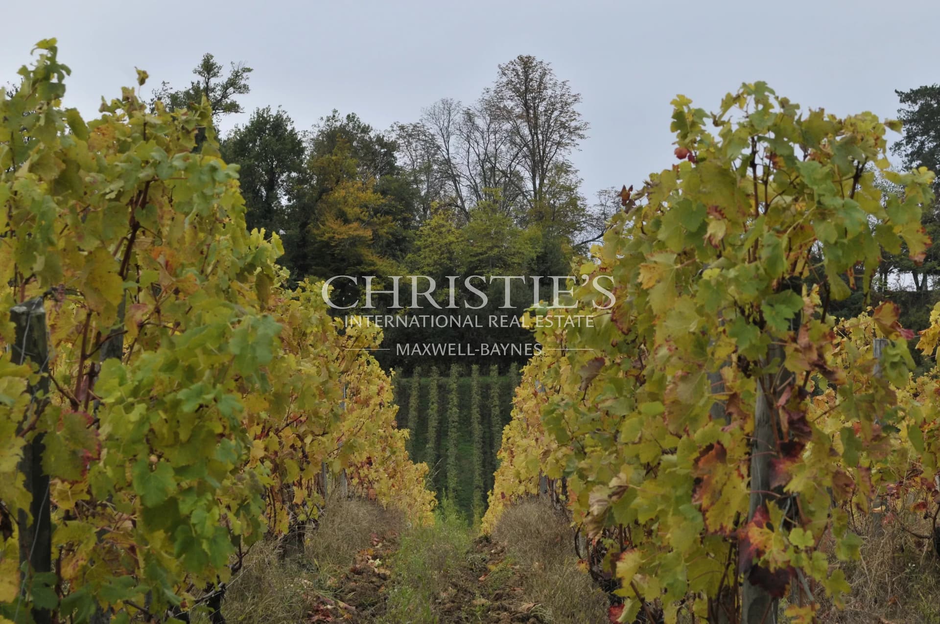 Magnificent estate with well-established tourism and wine-growing activities in the Saint-Émilion region