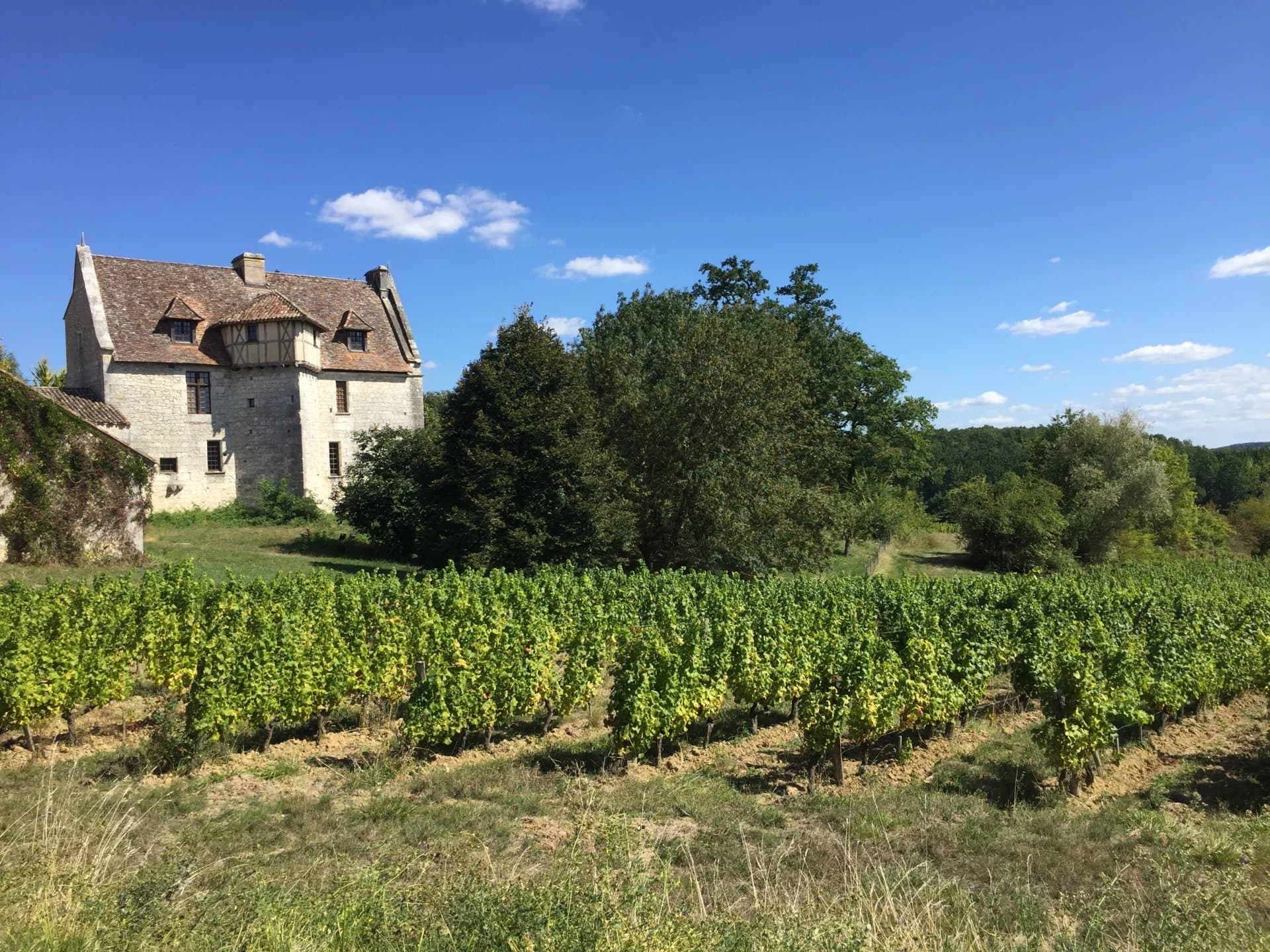 Superbly renovated C14th historic Chateau + Vineyard nr Bergerac