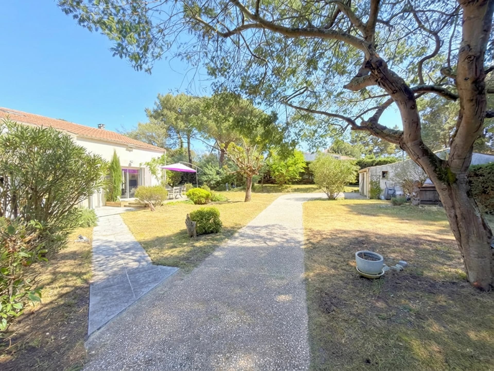 Exceptional Grand-Village: 1300 m² plot, 2 separate houses