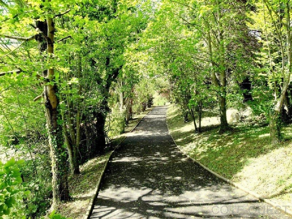 A VENDRE A ARBONNE MAISON BASQUE AVEC JARDIN DE 9000 M2
